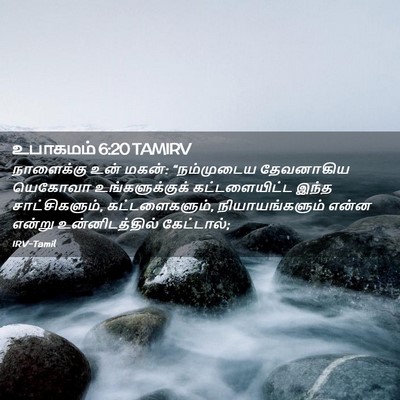 Picture 02 - உபாகமம் 6:20 TAMIRV - நாளைக்கு உன் மகன்: - Bible Verse Picture