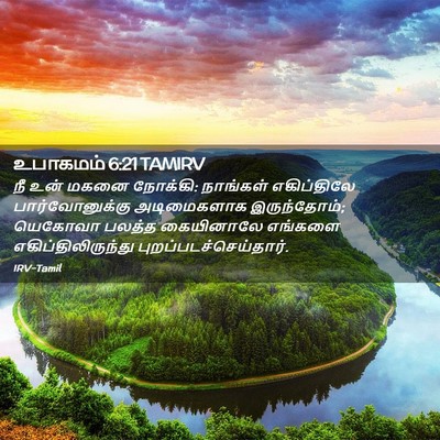Picture 02 - உபாகமம் 6:21 TAMIRV - நீ உன் மகனை நோக்கி: - Bible Verse Picture