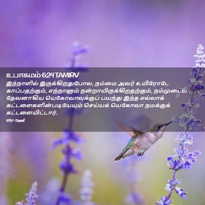 Picture 02 - உபாகமம் 6:24 TAMIRV - இந்நாளில் - Bible Verse Picture