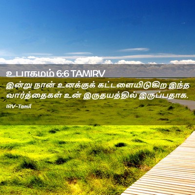 Picture 02 - உபாகமம் 6:6 TAMIRV - இன்று நான் - Bible Verse Picture