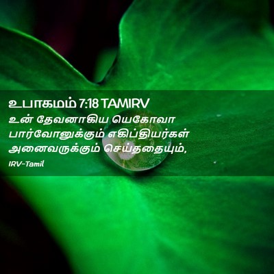 Picture 02 - உபாகமம் 7:18 TAMIRV - உன் தேவனாகிய - Bible Verse Picture