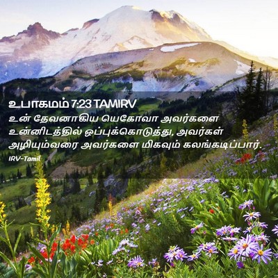 Picture 02 - உபாகமம் 7:23 TAMIRV - உன் தேவனாகிய - Bible Verse Picture
