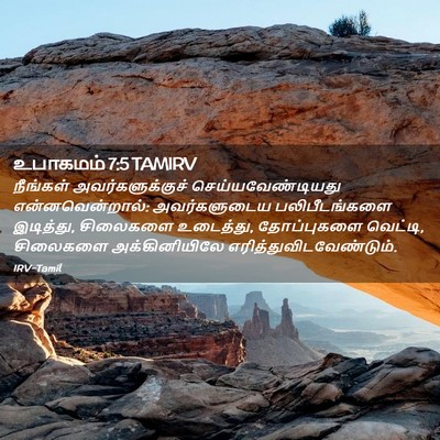 Picture 02 - உபாகமம் 7:5 TAMIRV - நீங்கள் - Bible Verse Picture
