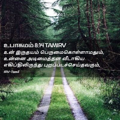 Picture 02 - உபாகமம் 8:14 TAMIRV - உன் இருதயம் - Bible Verse Picture