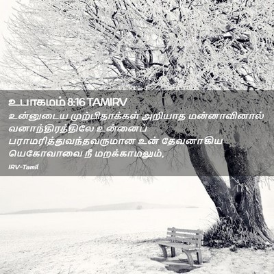 Picture 02 - உபாகமம் 8:16 TAMIRV - உன்னுடைய - Bible Verse Picture