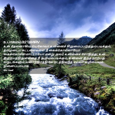 Picture 02 - உபாகமம் 8:2 TAMIRV - உன் தேவனாகிய - Bible Verse Picture