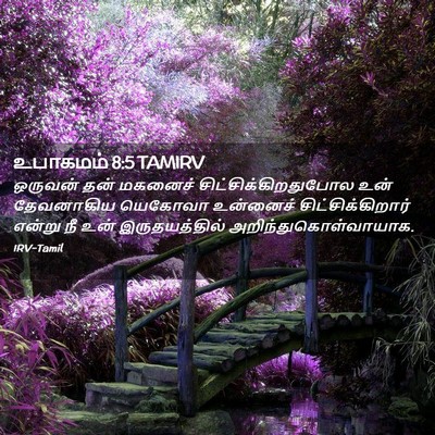 Picture 02 - உபாகமம் 8:5 TAMIRV - ஒருவன் தன் மகனைச் - Bible Verse Picture