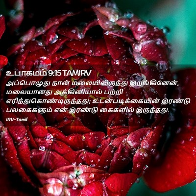 Picture 02 - உபாகமம் 9:15 TAMIRV - அப்பொழுது நான் - Bible Verse Picture