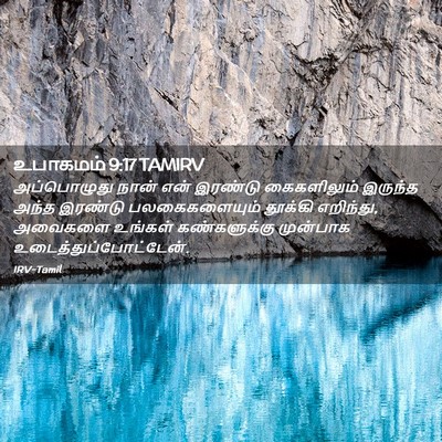 Picture 02 - உபாகமம் 9:17 TAMIRV - அப்பொழுது நான் - Bible Verse Picture