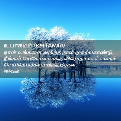 Picture 02 - உபாகமம் 9:24 TAMIRV - நான் உங்களை - Bible Verse Picture
