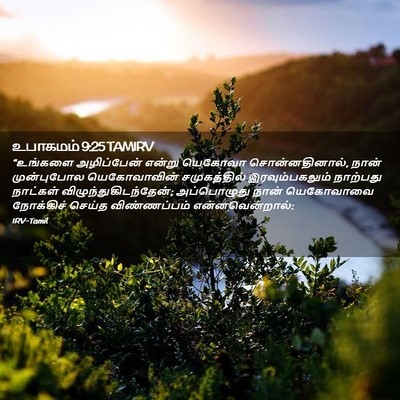 Picture 02 - உபாகமம் 9:25 TAMIRV - “உங்களை அழிப்பேன் - Bible Verse Picture