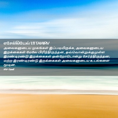 Picture 02 - எசேக்கியேல் 1:11 TAMIRV - அவைகளுடைய - Bible Verse Picture