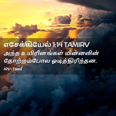 Picture 02 - எசேக்கியேல் 1:14 TAMIRV - அந்த உயிரினங்கள் - Bible Verse Picture