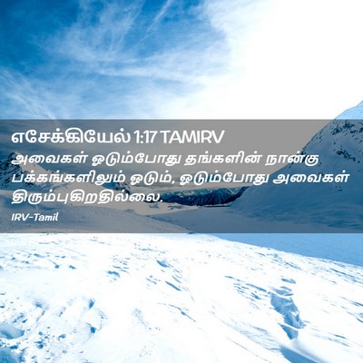 Picture 02 - எசேக்கியேல் 1:17 TAMIRV - அவைகள் ஓடும்போது - Bible Verse Picture