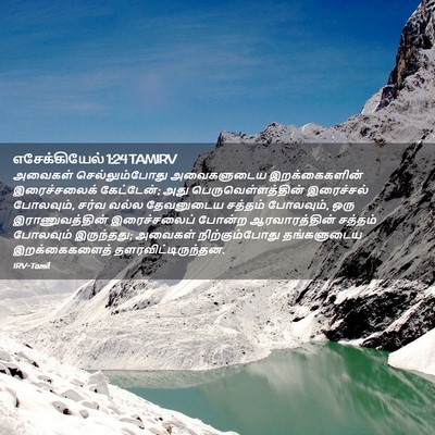 Picture 02 - எசேக்கியேல் 1:24 TAMIRV - அவைகள் - Bible Verse Picture