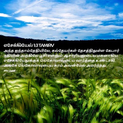 Picture 02 - எசேக்கியேல் 1:3 TAMIRV - அந்த - Bible Verse Picture