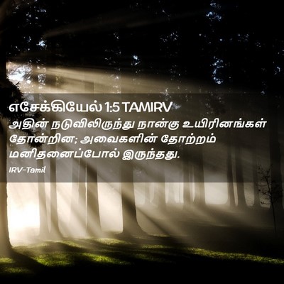 Picture 02 - எசேக்கியேல் 1:5 TAMIRV - அதின் - Bible Verse Picture