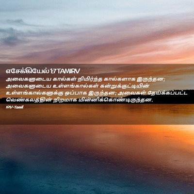 Picture 02 - எசேக்கியேல் 1:7 TAMIRV - அவைகளுடைய கால்கள் - Bible Verse Picture