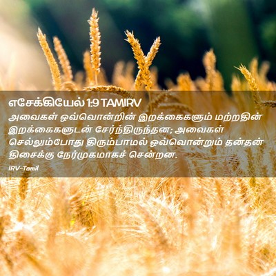 Picture 02 - எசேக்கியேல் 1:9 TAMIRV - அவைகள் - Bible Verse Picture