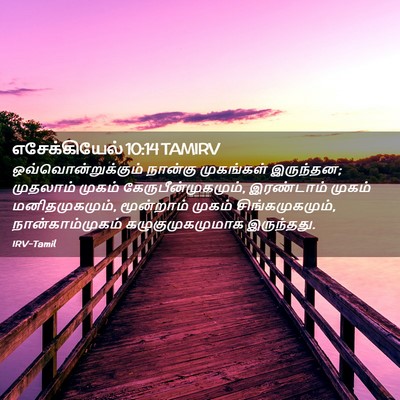 Picture 02 - எசேக்கியேல் 10:14 TAMIRV - ஒவ்வொன்றுக்கும் - Bible Verse Picture