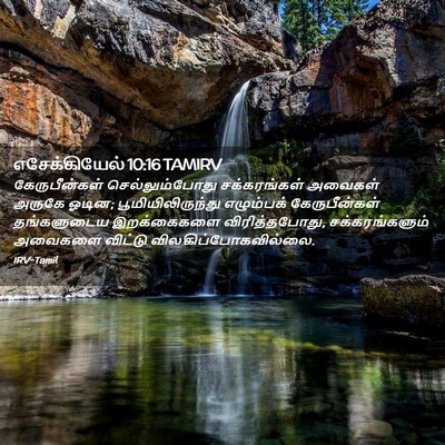 Picture 02 - எசேக்கியேல் 10:16 TAMIRV - கேருபீன்கள் - Bible Verse Picture