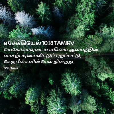 Picture 02 - எசேக்கியேல் 10:18 TAMIRV - யெகோவாவுடைய மகிமை - Bible Verse Picture