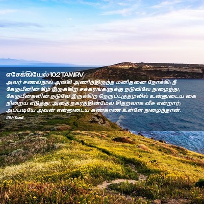 Picture 02 - எசேக்கியேல் 10:2 TAMIRV - அவர் சணல்நூல் - Bible Verse Picture