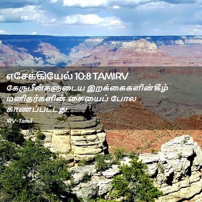 Picture 02 - எசேக்கியேல் 10:8 TAMIRV - கேருபீன்களுடைய - Bible Verse Picture