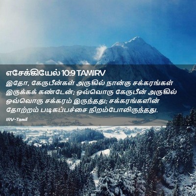 Picture 02 - எசேக்கியேல் 10:9 TAMIRV - இதோ, கேருபீன்கள் - Bible Verse Picture