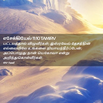 Picture 02 - எசேக்கியேல் 11:10 TAMIRV - பட்டயத்தால் - Bible Verse Picture