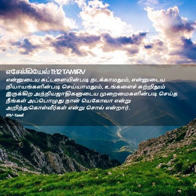 Picture 02 - எசேக்கியேல் 11:12 TAMIRV - என்னுடைய - Bible Verse Picture