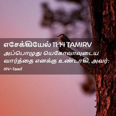 Picture 02 - எசேக்கியேல் 11:14 TAMIRV - அப்பொழுது - Bible Verse Picture