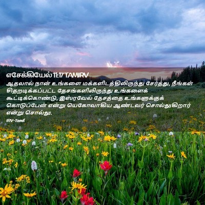 Picture 02 - எசேக்கியேல் 11:17 TAMIRV - ஆதலால் நான் - Bible Verse Picture