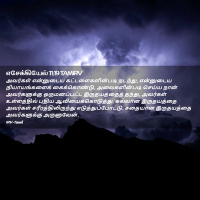 Picture 02 - எசேக்கியேல் 11:19 TAMIRV - அவர்கள் என்னுடைய - Bible Verse Picture