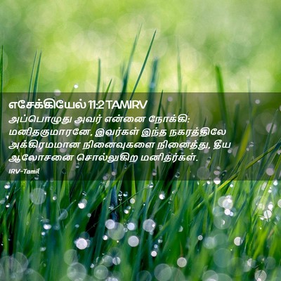 Picture 02 - எசேக்கியேல் 11:2 TAMIRV - அப்பொழுது அவர் - Bible Verse Picture