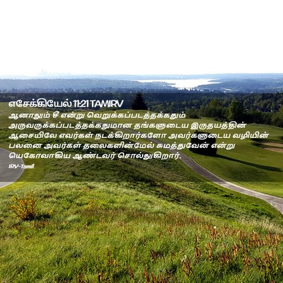 Picture 02 - எசேக்கியேல் 11:21 TAMIRV - ஆனாலும் சீ என்று - Bible Verse Picture