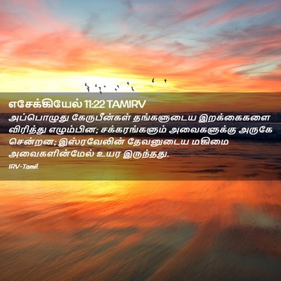 Picture 02 - எசேக்கியேல் 11:22 TAMIRV - அப்பொழுது - Bible Verse Picture