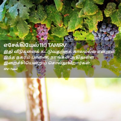 Picture 02 - எசேக்கியேல் 11:3 TAMIRV - இது வீடுகளைக் - Bible Verse Picture