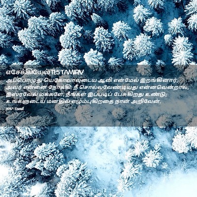 Picture 02 - எசேக்கியேல் 11:5 TAMIRV - அப்பொழுது - Bible Verse Picture
