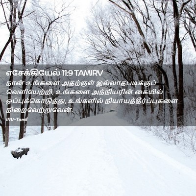 Picture 02 - எசேக்கியேல் 11:9 TAMIRV - நான் உங்களை - Bible Verse Picture