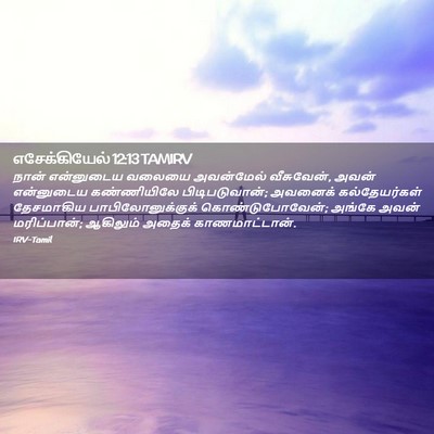 Picture 02 - எசேக்கியேல் 12:13 TAMIRV - நான் என்னுடைய - Bible Verse Picture