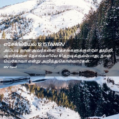 Picture 02 - எசேக்கியேல் 12:15 TAMIRV - அப்படி நான் - Bible Verse Picture