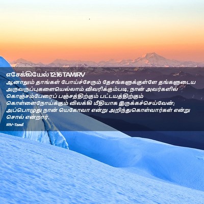 Picture 02 - எசேக்கியேல் 12:16 TAMIRV - ஆனாலும் தாங்கள் - Bible Verse Picture