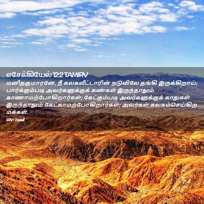 Picture 02 - எசேக்கியேல் 12:2 TAMIRV - மனிதகுமாரனே, நீ - Bible Verse Picture