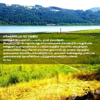 Picture 02 - எசேக்கியேல் 12:7 TAMIRV - எனக்குக் - Bible Verse Picture
