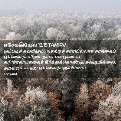 Picture 02 - எசேக்கியேல் 13:15 TAMIRV - இப்படிச் - Bible Verse Picture