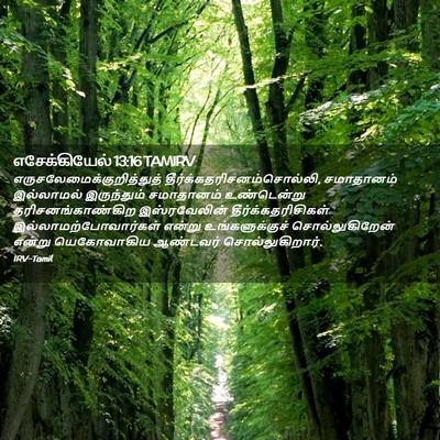 Picture 02 - எசேக்கியேல் 13:16 TAMIRV -  - Bible Verse Picture