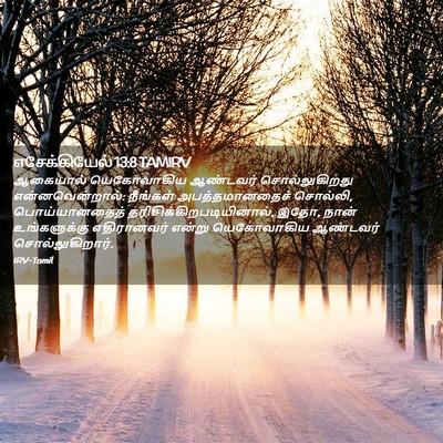 Picture 02 - எசேக்கியேல் 13:8 TAMIRV - ஆகையால் யெகோவாகிய - Bible Verse Picture