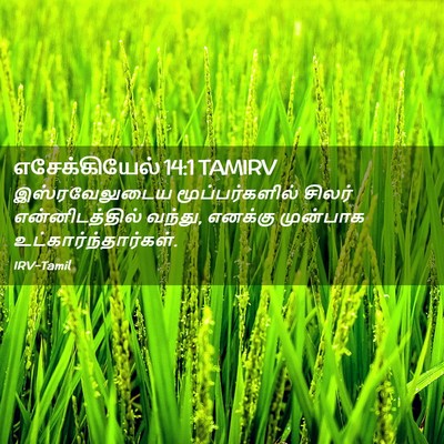 Picture 02 - எசேக்கியேல் 14:1 TAMIRV - இஸ்ரவேலுடைய - Bible Verse Picture