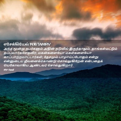 Picture 02 - எசேக்கியேல் 14:16 TAMIRV - அந்த மூன்று - Bible Verse Picture
